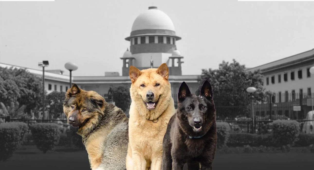 SC Verdict on Dogs: SC Verdict on Dogs: