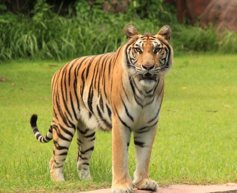 IMG 20250806 WA0033 IMG 20250806 WA0033