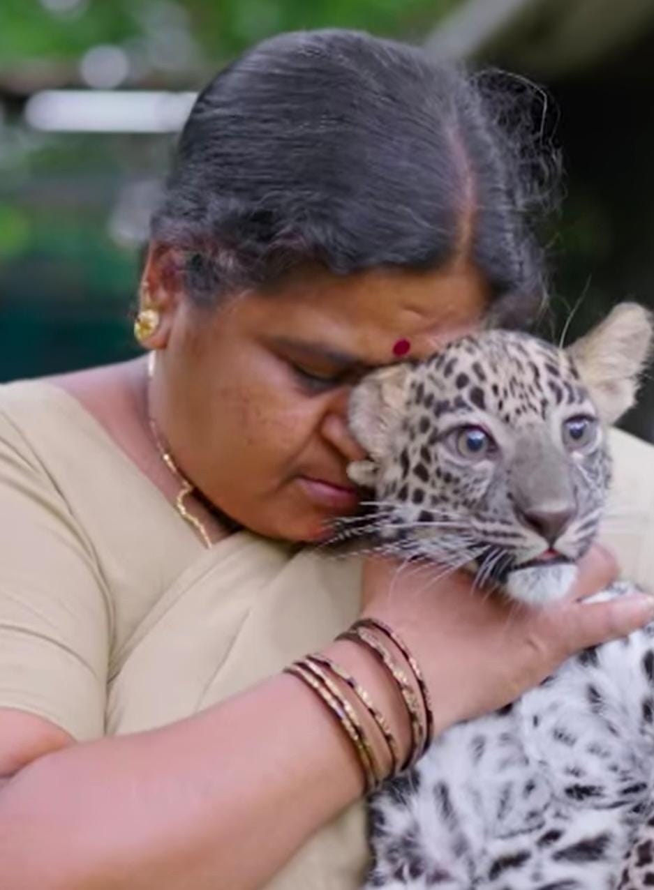 IMG 20250806 WA0096 IMG 20250806 WA0096