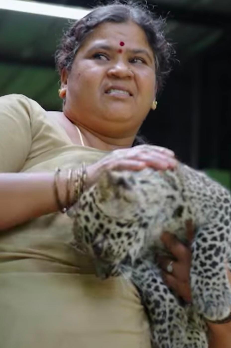 IMG 20250806 WA0097 IMG 20250806 WA0097