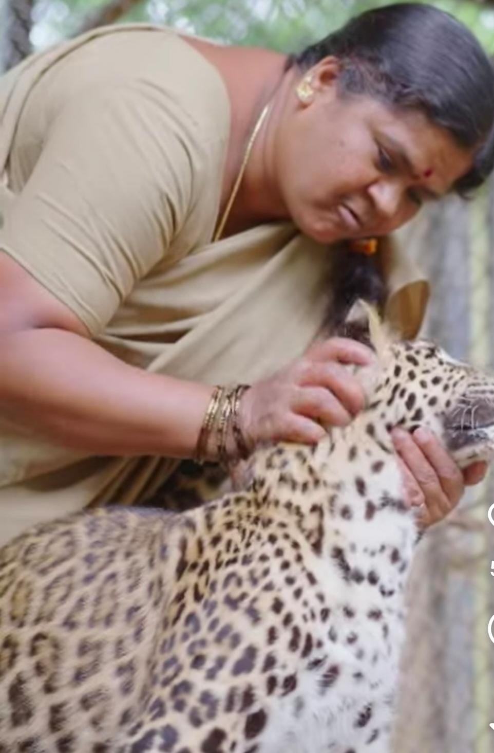 IMG 20250806 WA0098 IMG 20250806 WA0098