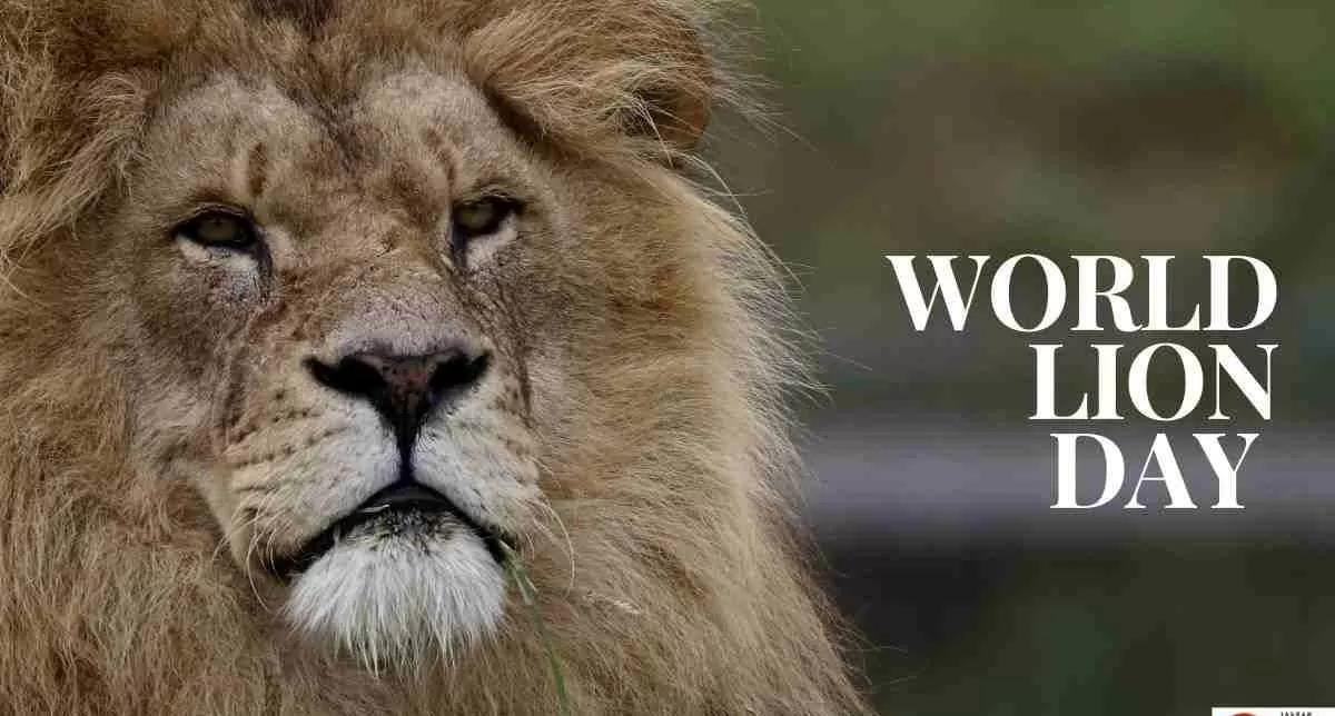 10th August World Lion Day