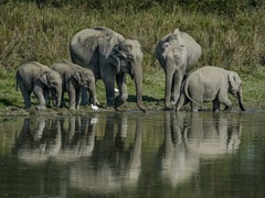 IMG 20250815 WA0200 IMG 20250815 WA0200