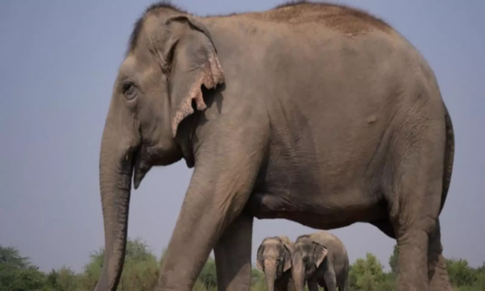 IMG 20250815 WA0202 IMG 20250815 WA0202