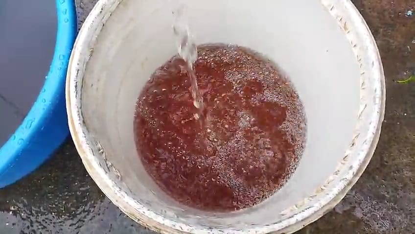 IMG 20250826 WA0033 IMG 20250826 WA0033