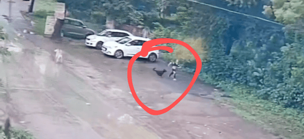 Screenshot_20250823-200800-428~2