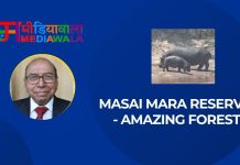 Masai Mara Reserve — Amazing Forest