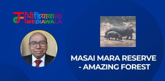 Masai Mara Reserve — Amazing Forest