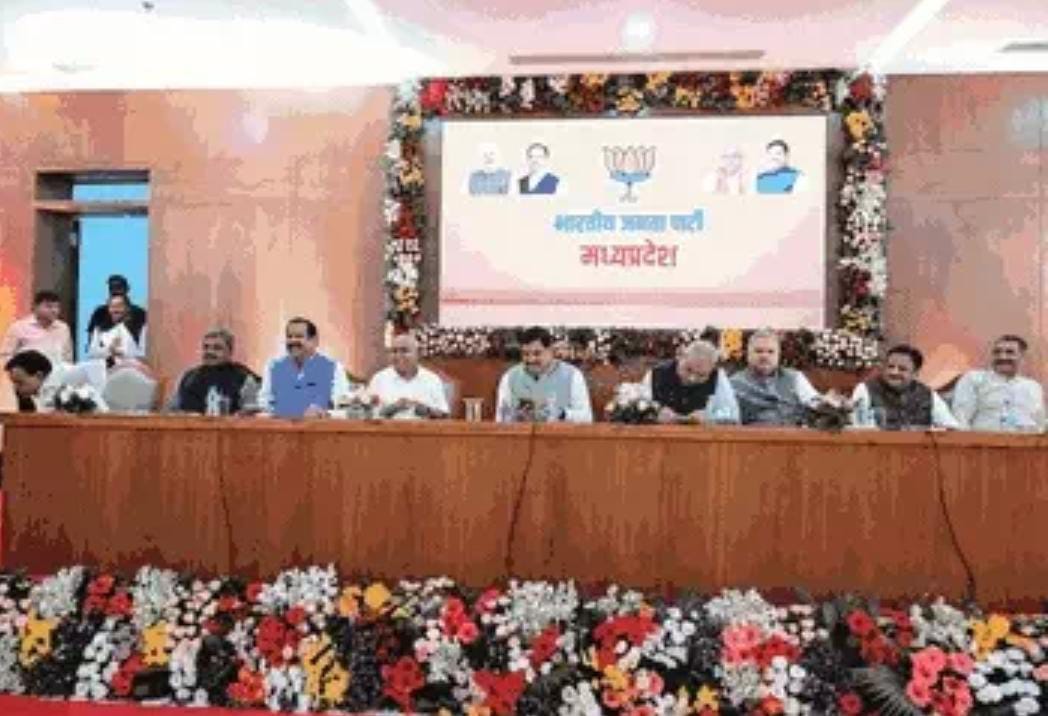 WhatsApp Image 2025-08-07 at 17.49.47