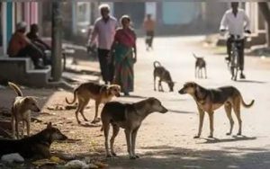 WhatsApp Image 2025 08 11 at 16.45.40