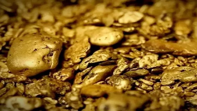 GSI's Big Disclosure