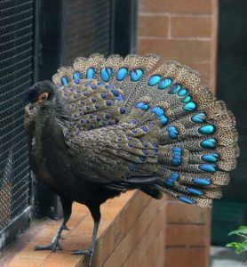 WhatsApp Image 2025 08 13 at 15.23.06 1