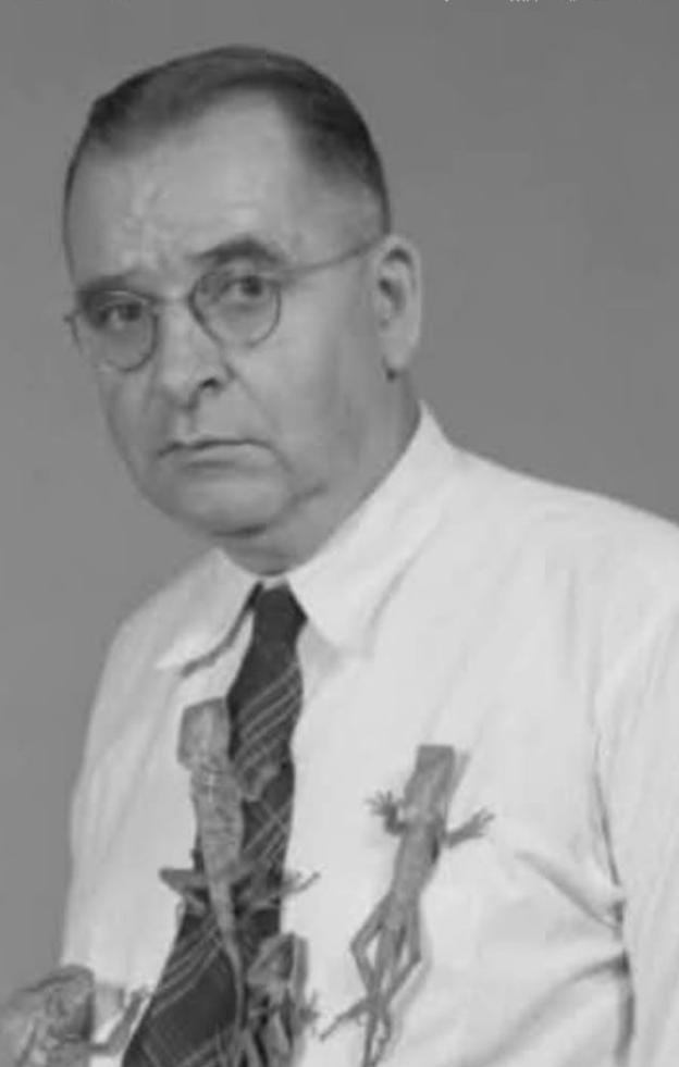 WhatsApp Image 2025 08 18 at 18.20.39