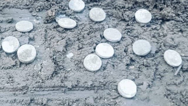 WhatsApp Image 2025-08-22 at 11.45.15 AM