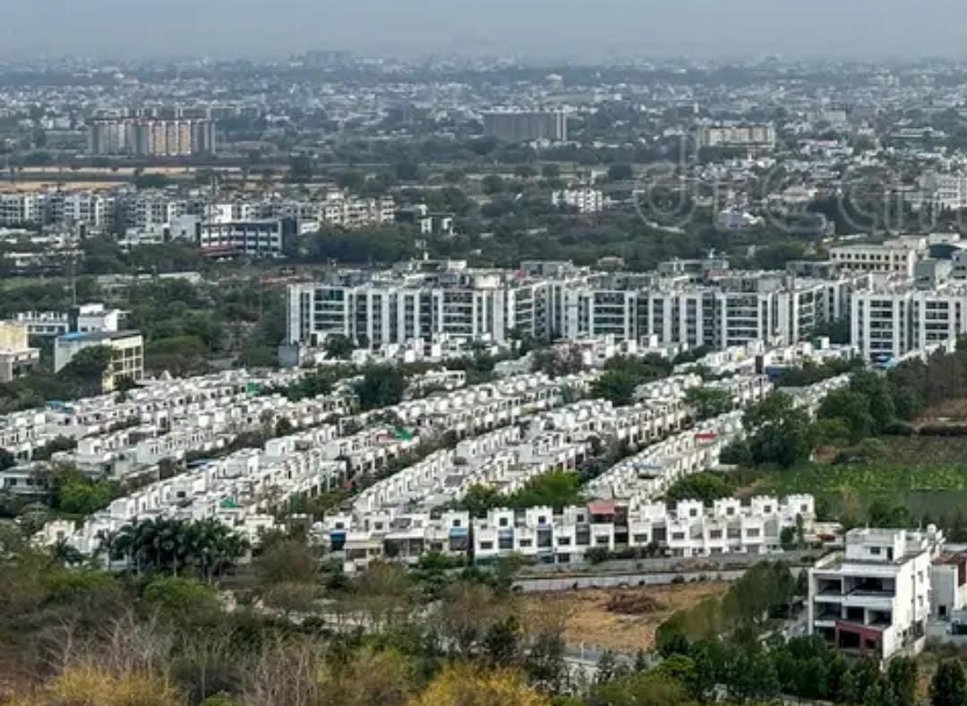 WhatsApp Image 2025-08-22 at 16.45.03