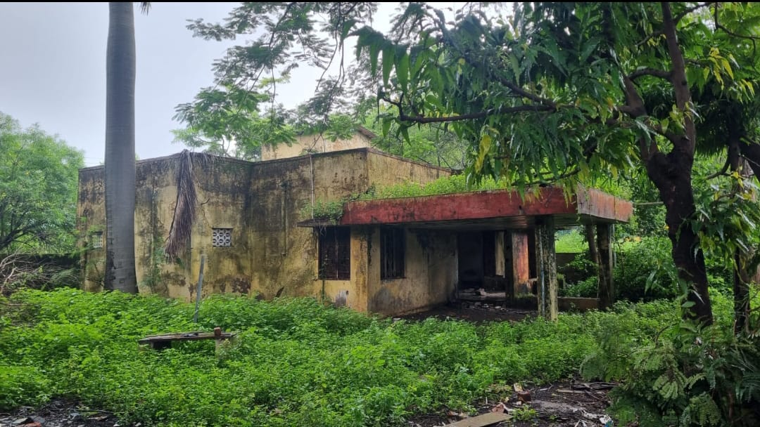 WhatsApp Image 2025-08-23 at 15.15.57