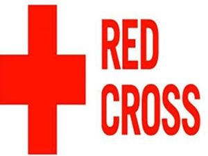 WhatsApp Image 2025 08 24 at 18.31.38 1