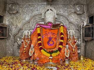 WhatsApp Image 2025-08-26 at 11.51.23 AM