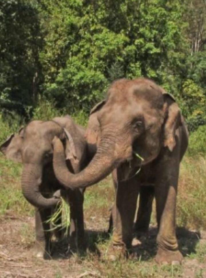 c3267ee4 6a94 41e5 bcdd 25ee799a5f12 c3267ee4 6a94 41e5 bcdd 25ee799a5f12