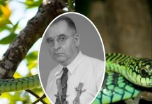 Boomslang Snake Venom &Carl P. Schmidt : विष में अंकित एक विरासत,हर्पेटोलॉजिस्ट कार्ल पी. श्मिट के दुखद अंतिम क्षण Boomslang Snake Venom &Carl P. Schmidt