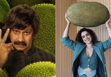 katahal : A Jackfruit Mystery सान्या मल्होत्रा की वो फिल्म जिसने जीता बेस्ट हिंदी फिल्म का नेशनल अवॉर्ड katahal : A Jackfruit Mystery