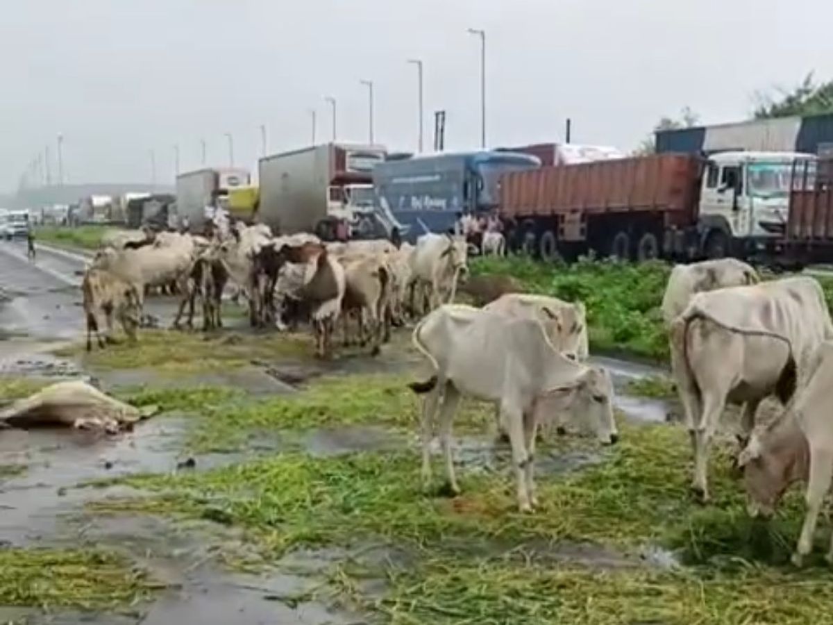 1000862339_1757054671