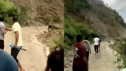 Terrifying Video of Landslide