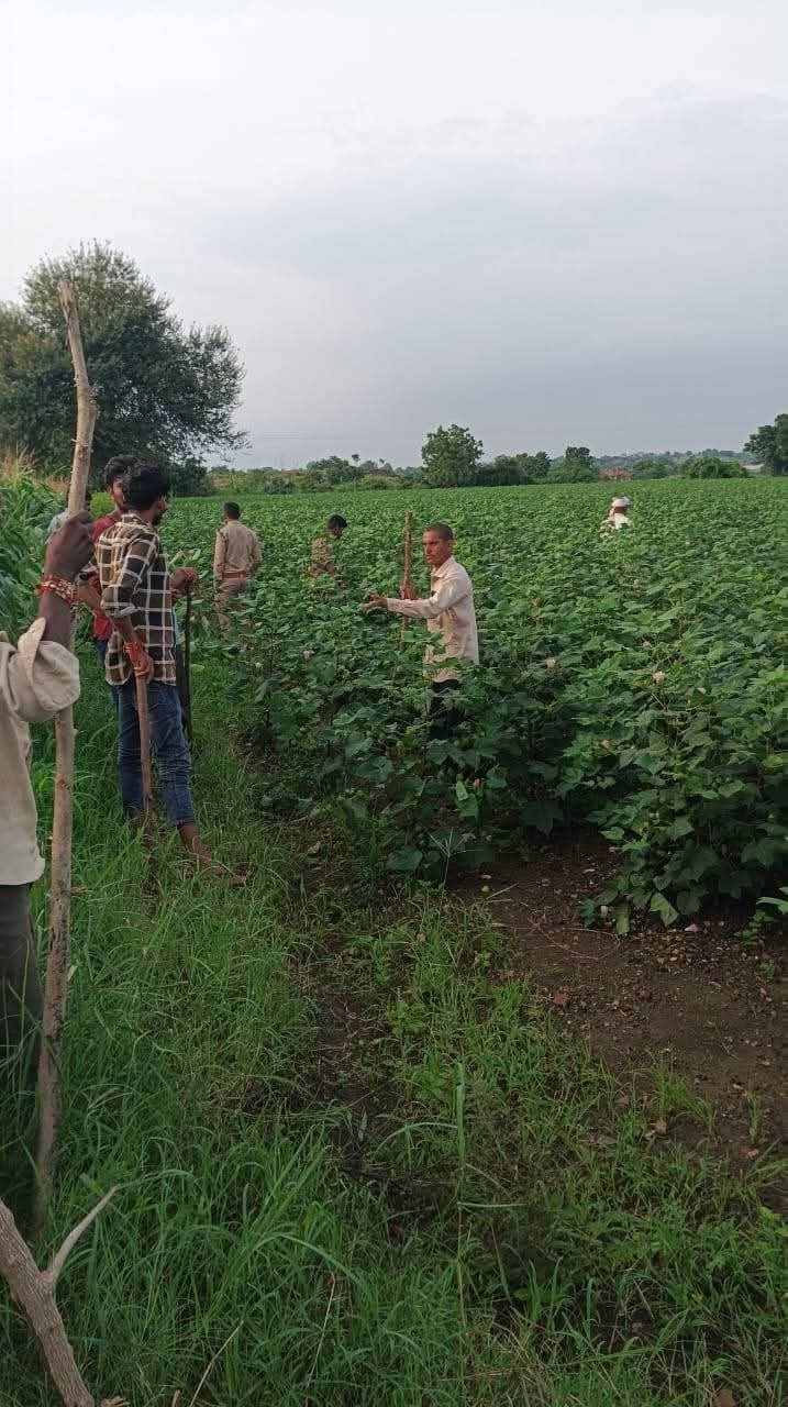 IMG 20250902 WA0047 IMG 20250902 WA0047