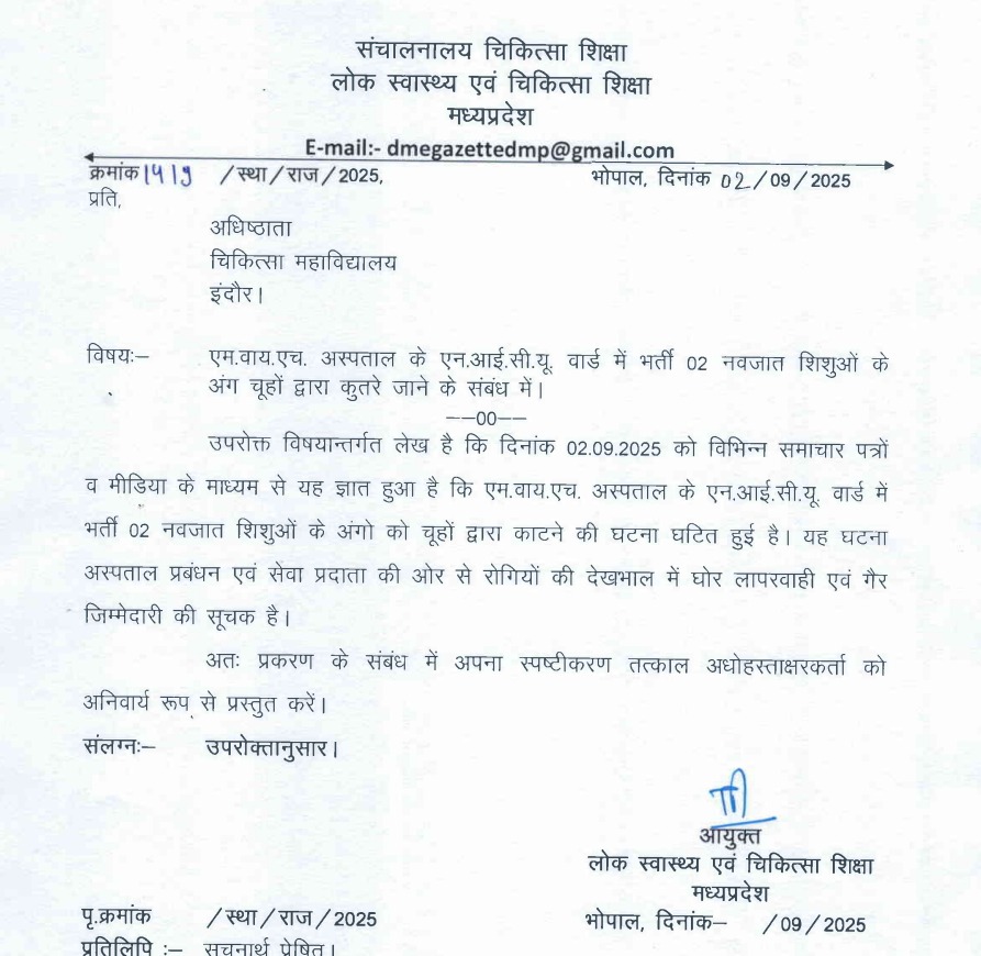 IMG 20250902 WA0242 IMG 20250902 WA0242