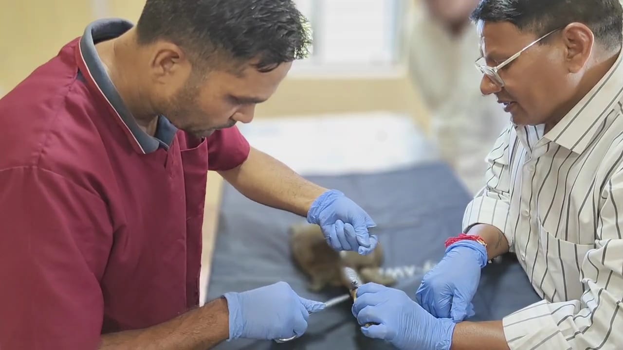 IMG 20250908 WA0019 IMG 20250908 WA0019