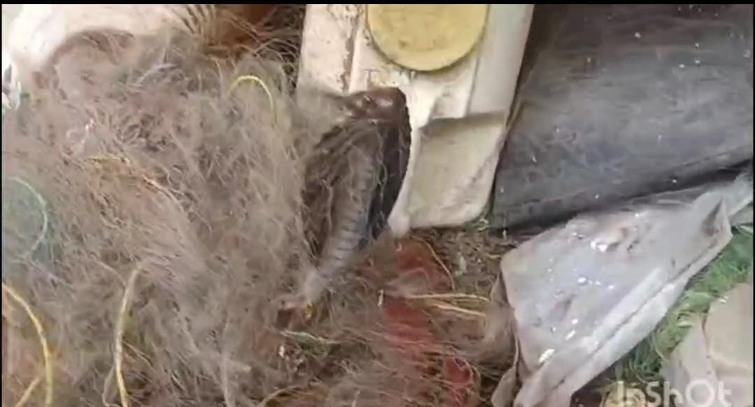 IMG 20250909 WA0024 IMG 20250909 WA0024