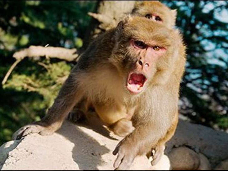 IMG 20250910 WA0185 IMG 20250910 WA0185