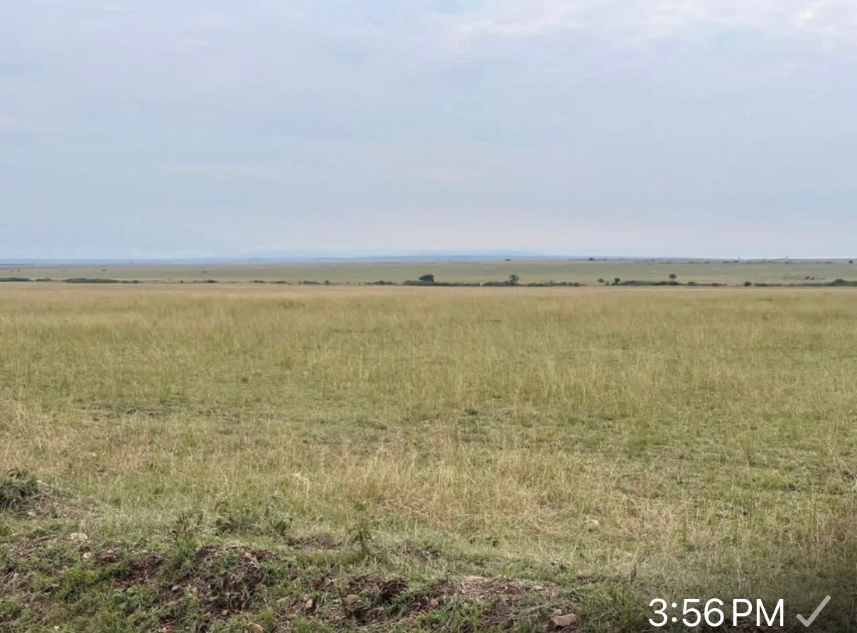 IMG 20250916 WA0190 IMG 20250916 WA0190