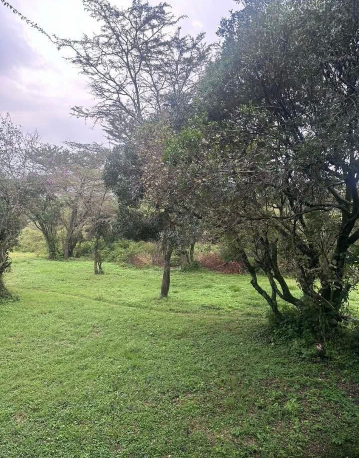 IMG 20250916 WA0192 IMG 20250916 WA0192