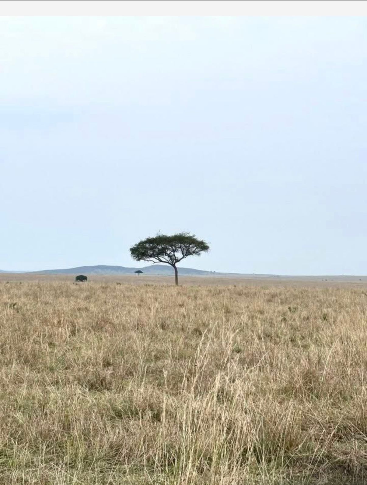 IMG 20250916 WA0194 IMG 20250916 WA0194