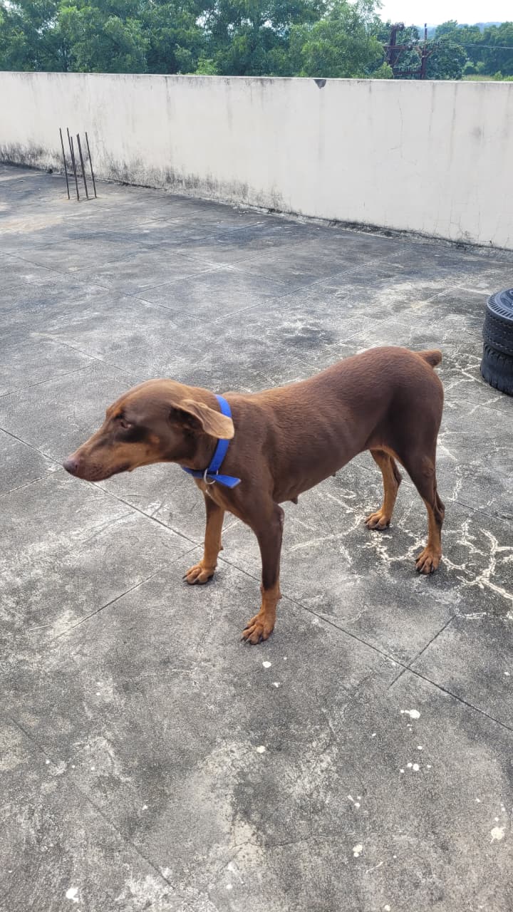 IMG 20250917 WA0066 IMG 20250917 WA0066