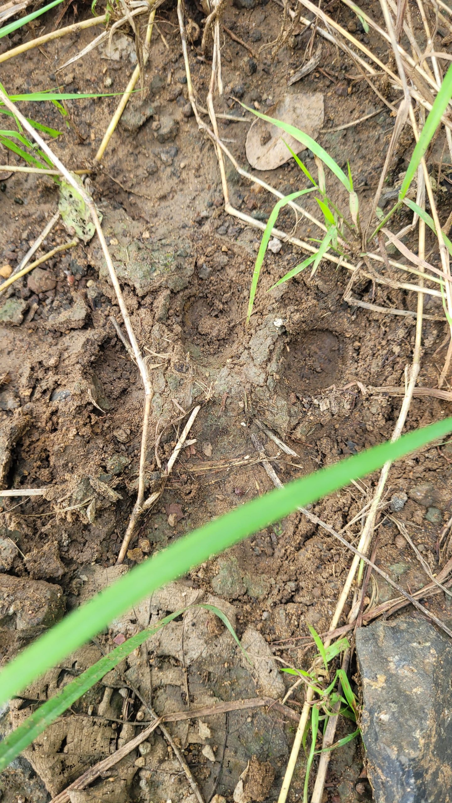 IMG 20250917 WA0068 scaled IMG 20250917 WA0068 scaled