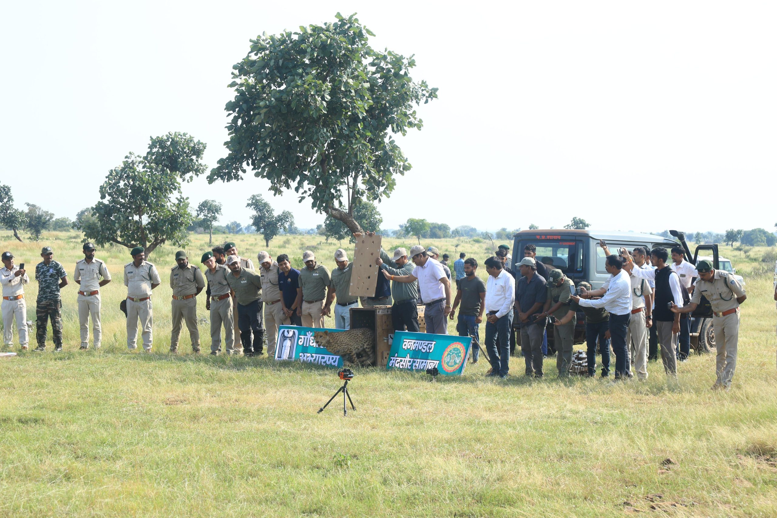 IMG 20250917 WA0206 scaled