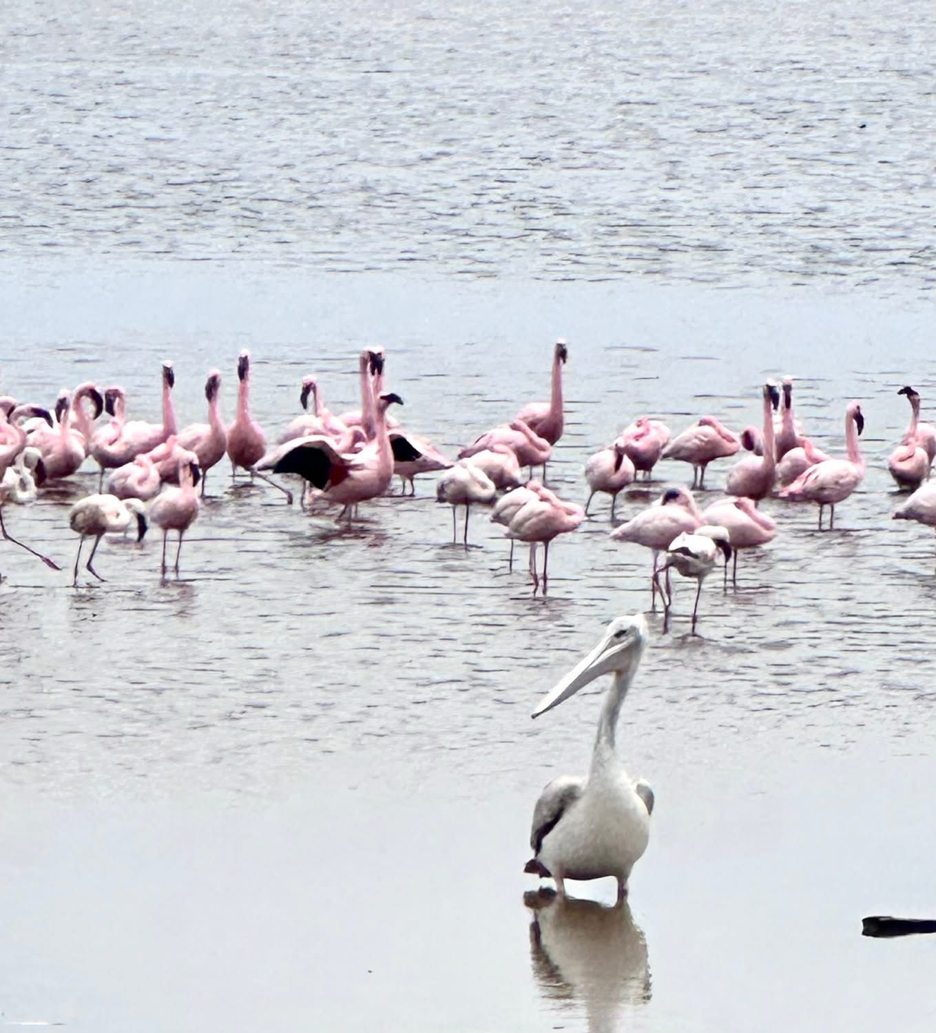 IMG 20250918 WA0146 IMG 20250918 WA0146