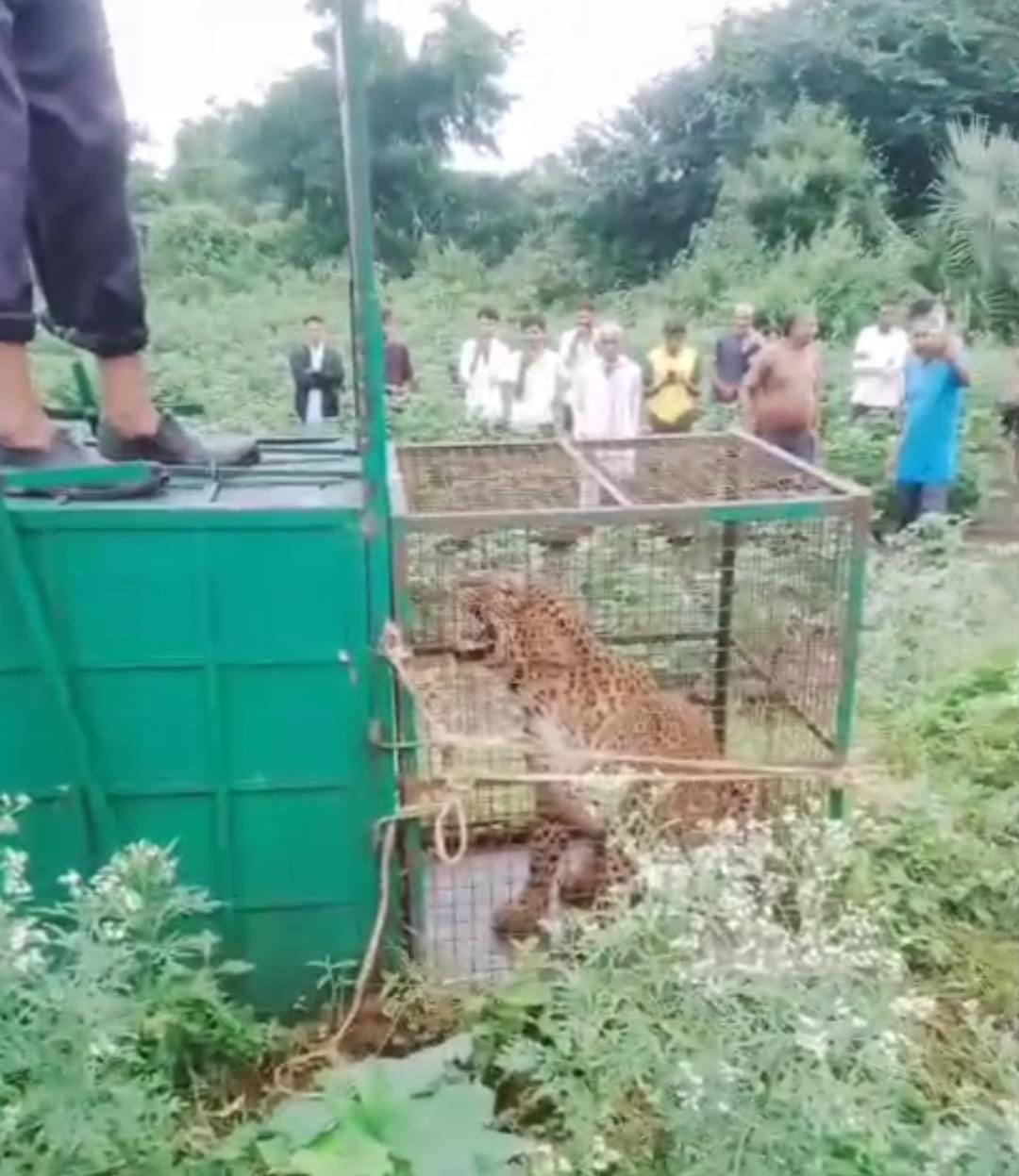 WhatsApp Image 2025 09 03 at 12.35.52 PM