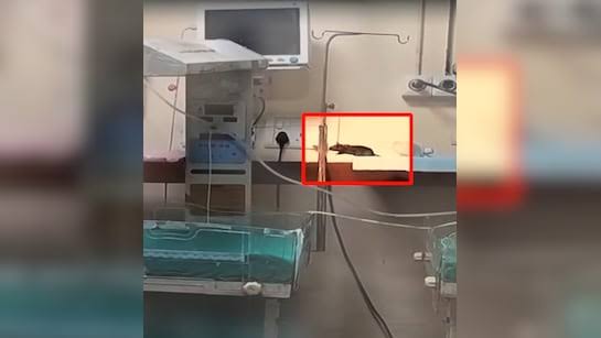 WhatsApp Image 2025-09-04 at 3.23.04 PM