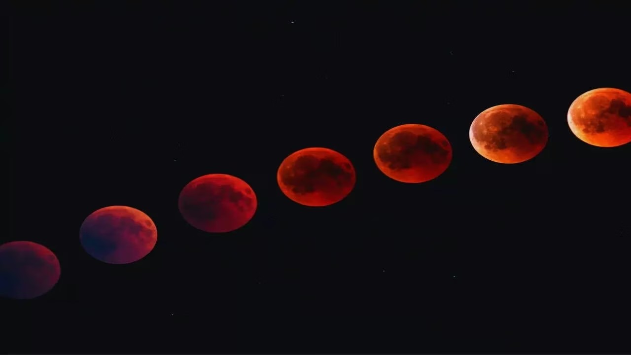 WhatsApp Image 2025-09-07 at 18.16.00