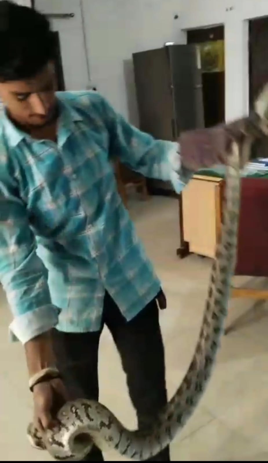 Python in Police Station