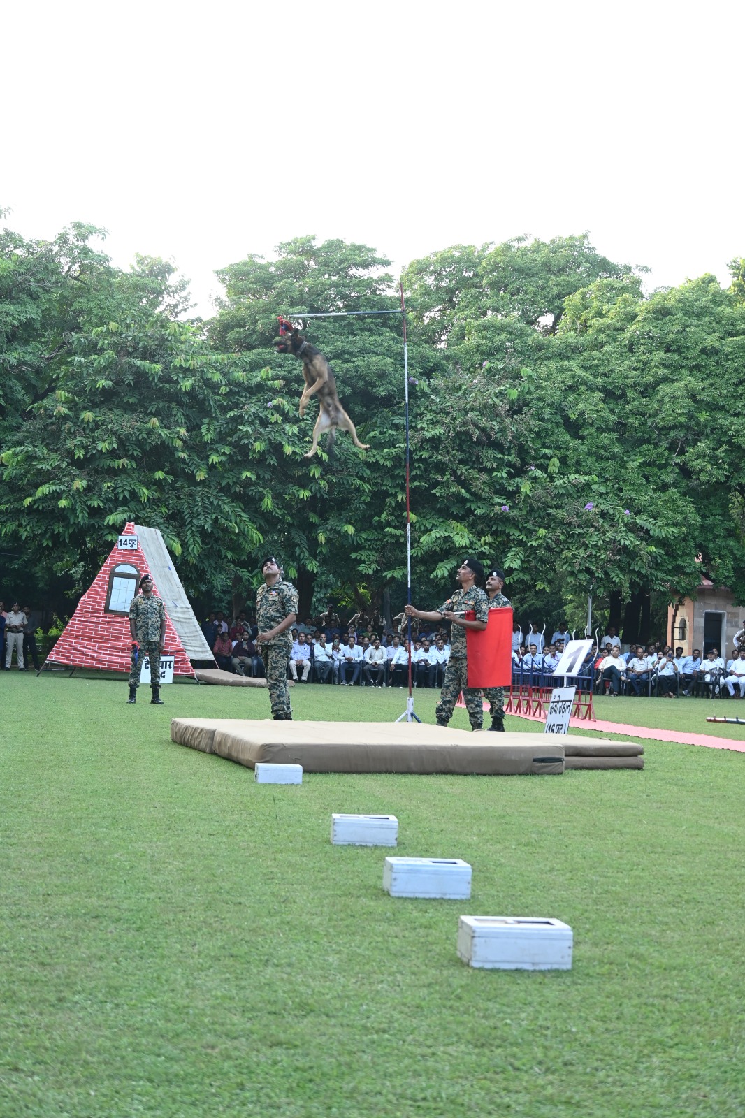 WhatsApp Image 2025 09 26 at 16.44.37 3 WhatsApp Image 2025 09 26 at 16.44.37 3