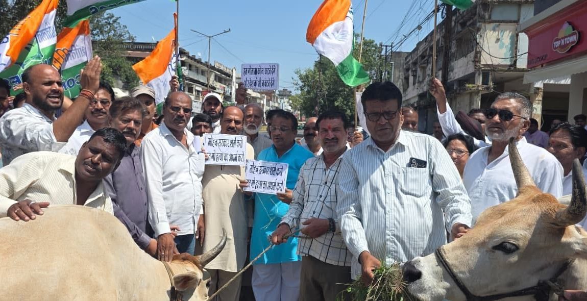 Opposition to Making Beef Tax-Free Opposition to Making Beef Tax-Free