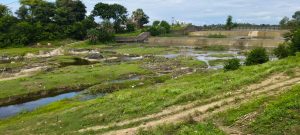 WhatsApp Image 2025 09 29 at 16.33.35