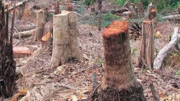 images 2025 09 24T090851.051 1