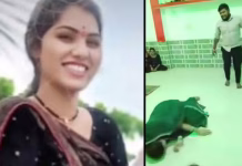 Heart Attack While Doing Garba: गरबा खेलते-खेलते ही 19 वर्षीय युवती को आया हार्ट अटैक, डांस करते-करते गिर पड़ी हो गई मौत!