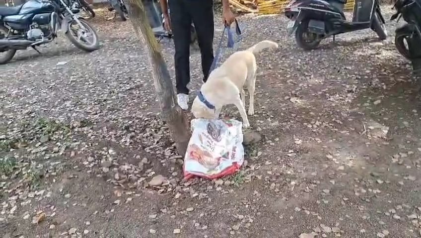 IMG 20251010 WA0051 IMG 20251010 WA0051