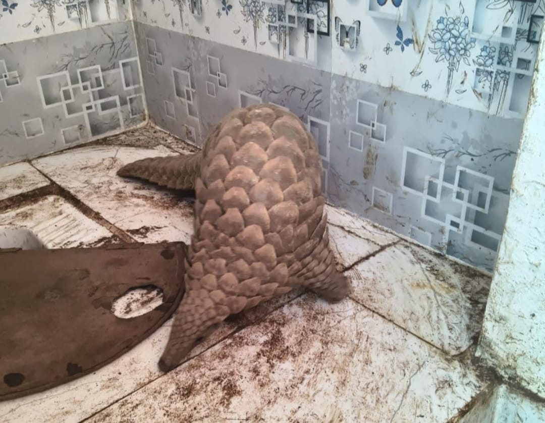 IMG 20251014 WA0021 IMG 20251014 WA0021